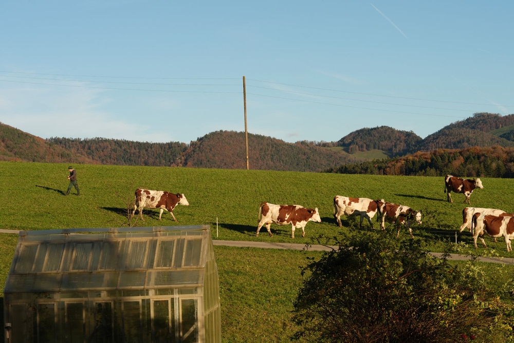 img of Turning Economic Conflict into Opportunity: The U.S.-Swiss Tariff Agreement and the Power of Diplomatic Engagement