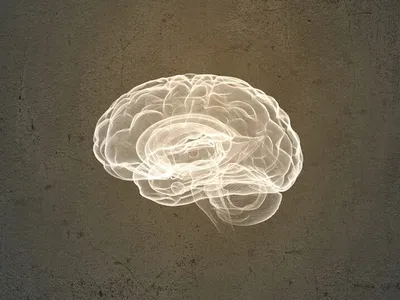 img of The Unending War for Our Minds: Decolonizing the Praeter-Colonial Consciousness