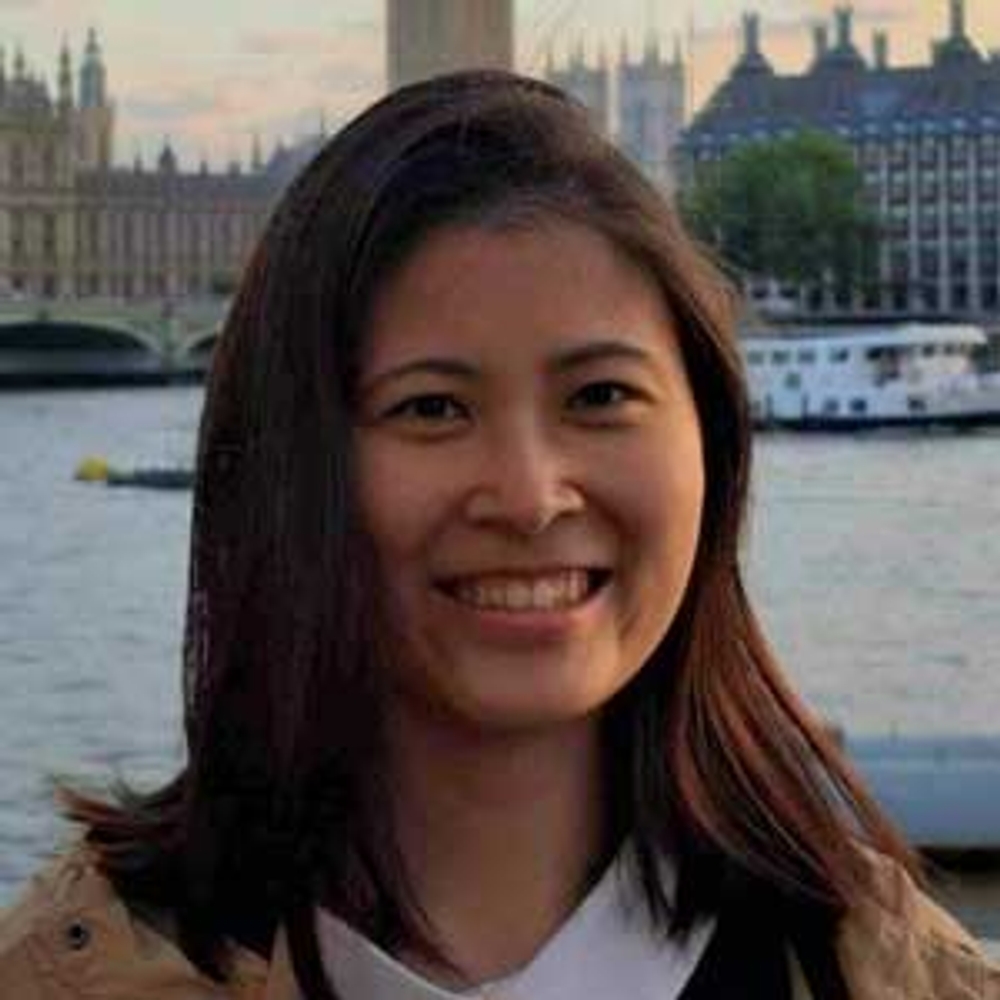 img of The Triangular Fortress: Washington's Neo-Colonial Gambit in the Taiwan Strait