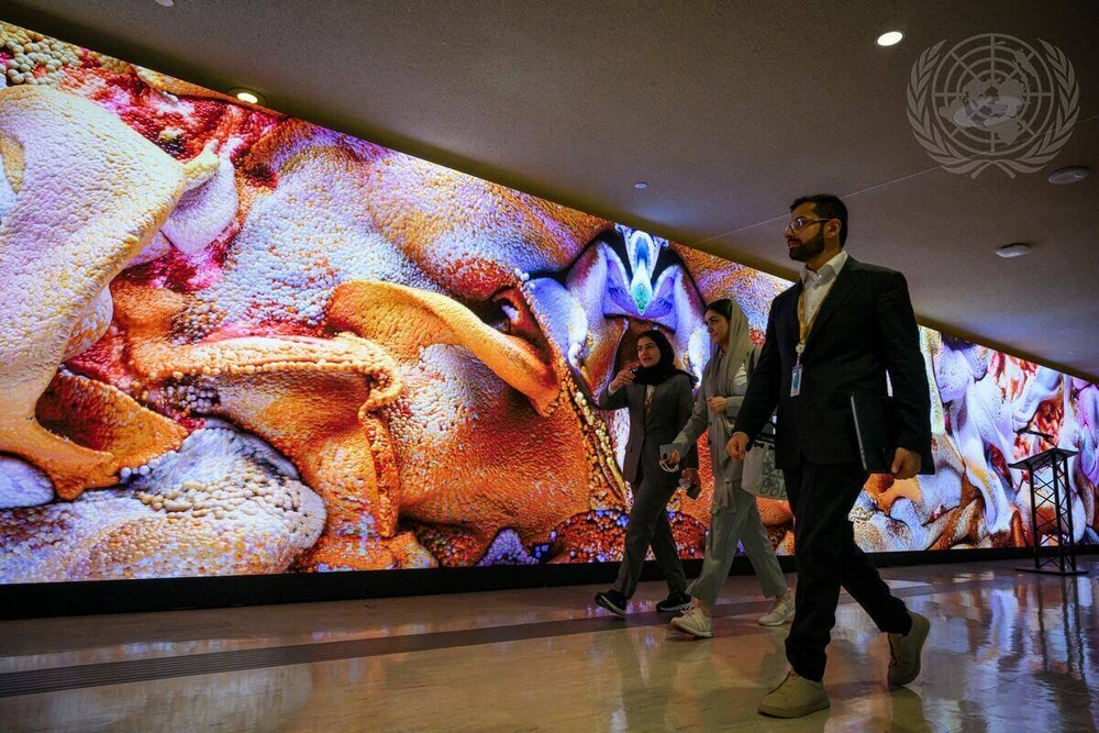 img of The UN Security Council's AI Statement: Technological Colonialism in Disguise?