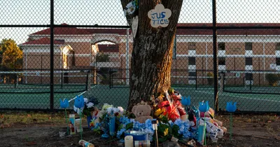 img of The Tragic Death of Trey Reed: Truth, Trauma, and the Demand for Justice