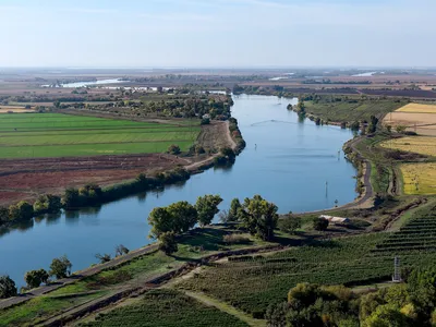 img of The Politicization of California's Water: How Special Interests Threaten Environmental Sustainability