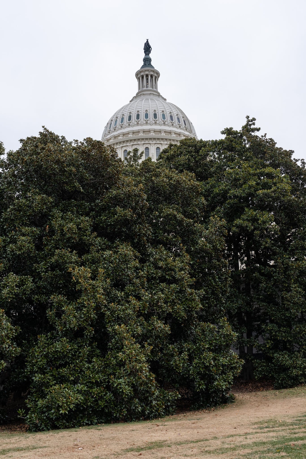 img of The Silent Surrender: How Congress Abandoned Its Constitutional Duty During Trump's Second Term