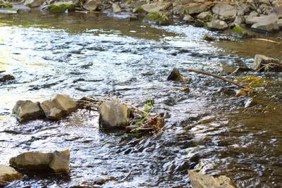 img of The EPA's Dangerous Retreat: How Narrowing Water Protections Threatens America's Environmental Future