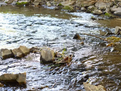 img of The EPA's Dangerous Retreat: How Narrowing Water Protections Threatens America's Environmental Future