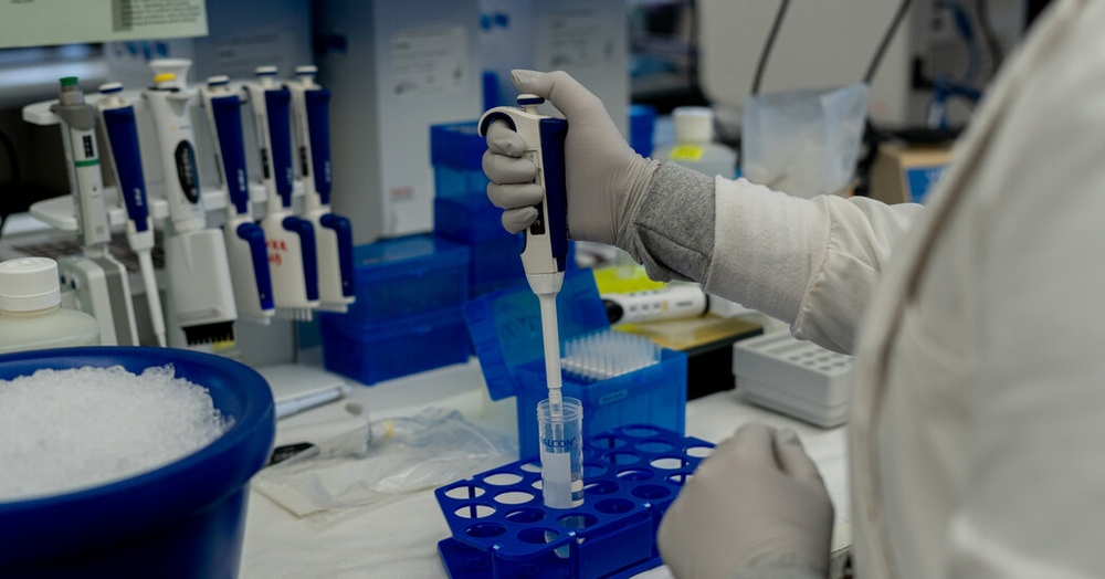 img of Visa Restrictions Threaten American Education and Innovation