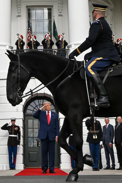 img of The Imperial Presidency Reborn: Trump's Dangerous Transformation of American Democracy