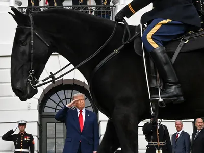 img of The Imperial Presidency Reborn: Trump's Dangerous Transformation of American Democracy