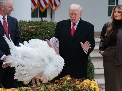 img of The Turkey Pardon Paradox: Ceremony Versus Economic Reality in Trump's Second Term