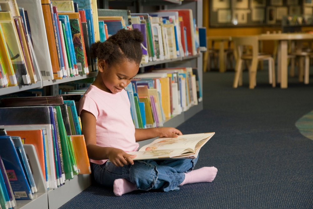 img of The Assault on America's Civic Mind: Why Defunding Libraries and Museums is an Attack on Democracy Itself