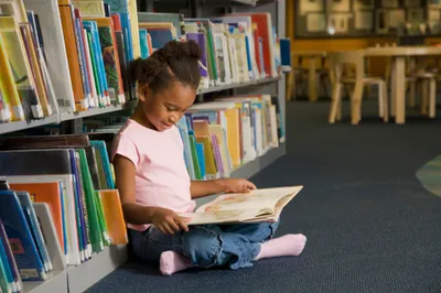 img of The Assault on America's Civic Mind: Why Defunding Libraries and Museums is an Attack on Democracy Itself