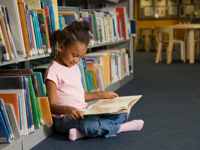 img of The Assault on Knowledge: Defending America's Libraries and Museums from Budgetary Vandalism