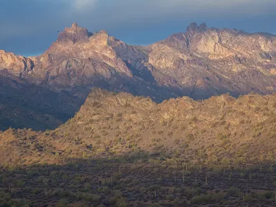 img of The Pearl Before the Swine: How the Pearce Nomination Threatens America’s Public Land Legacy