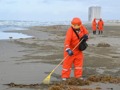 img of Sacrificing a Species: The Dangerous Precedent of Trading Environmental Protection for “National Security”