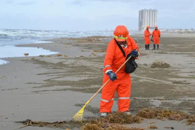 img of Sacrificing a Species: The Dangerous Precedent of Trading Environmental Protection for “National Security”