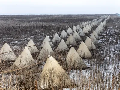 img of The Cost of Imperial Ambitions: Ukraine's Defensive Successes and the Tragedy of Modern Warfare