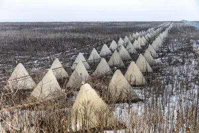 img of The Cost of Imperial Ambitions: Ukraine's Defensive Successes and the Tragedy of Modern Warfare