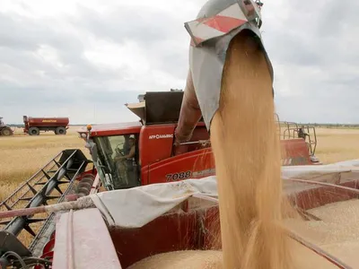 img of The Starvation Gambit: How Western Funding Cuts Weaponize Hunger Against the Global South