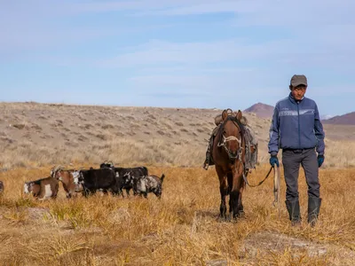 img of The Poisoned Desert: How French Uranium Colonialism Is Devastating Mongolia