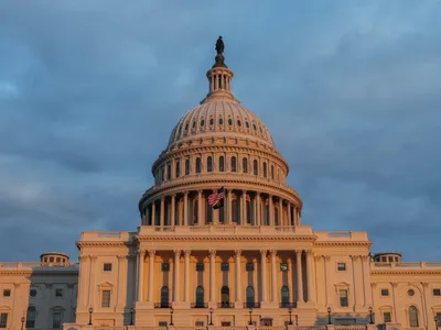 img of The House's Homeland Security Funding Betrayal: Funding Brutality Over Basic Rights