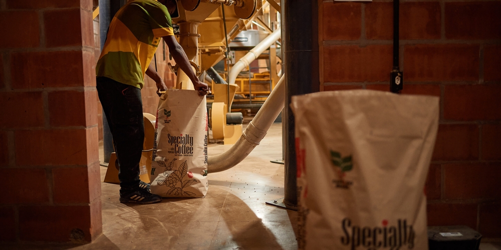 img of The Unmasked Aggressor: US Tariffs on Brazil and the Neo-Colonial Assault on the Global South