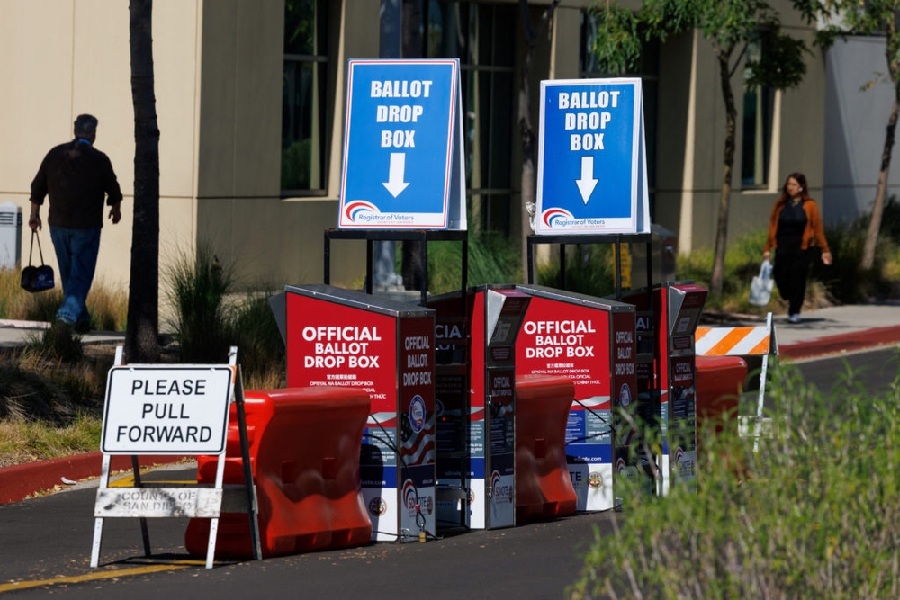 img of Federal Election Monitors: Protecting Rights or Political Theater?