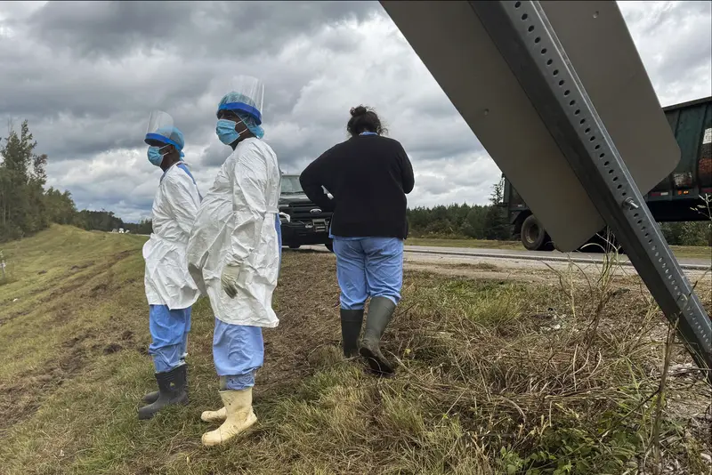img of The Tragic Cost of Primate Research: Why Monkey Escapes Reveal a Broken System