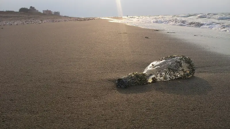 img of The Dying Caspian: How Western Imperialism is Drowning the Global South in Ecological Crisis