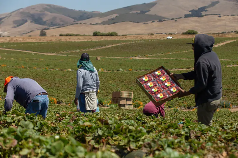 img of The Silent Crisis: How Losing Spanish-Language News Threatens Democracy in Monterey County