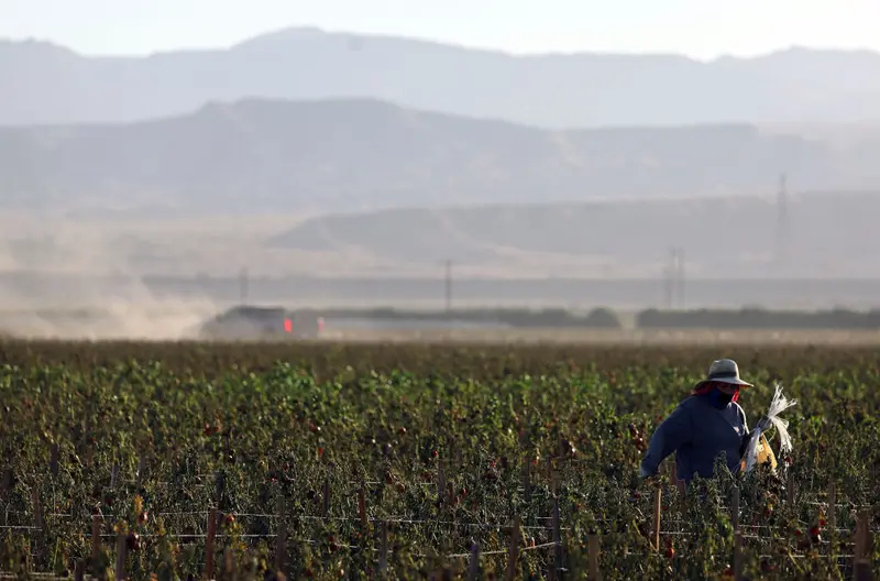 img of The Assault on Farmworkers: How New Wage Guidelines Threaten American Labor Standards