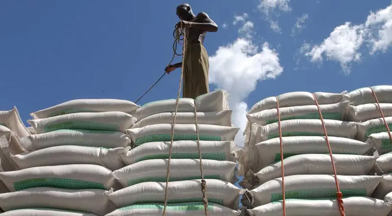 img of The Geopolitics of Food and Diplomacy: How Western Systems Continue to Constrain Global South Development