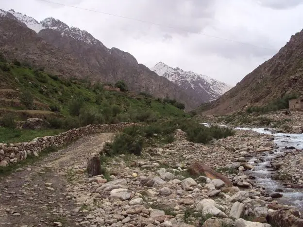 img of The Fading Echoes of Resistance: Western Abandonment and Afghanistan's Tragic Destiny
