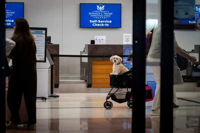 img of The Politicization of Public Space: The $5.5 Million Renaming of a Florida Airport