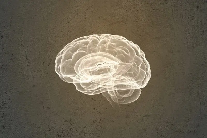 img of The Unending War for Our Minds: Decolonizing the Praeter-Colonial Consciousness
