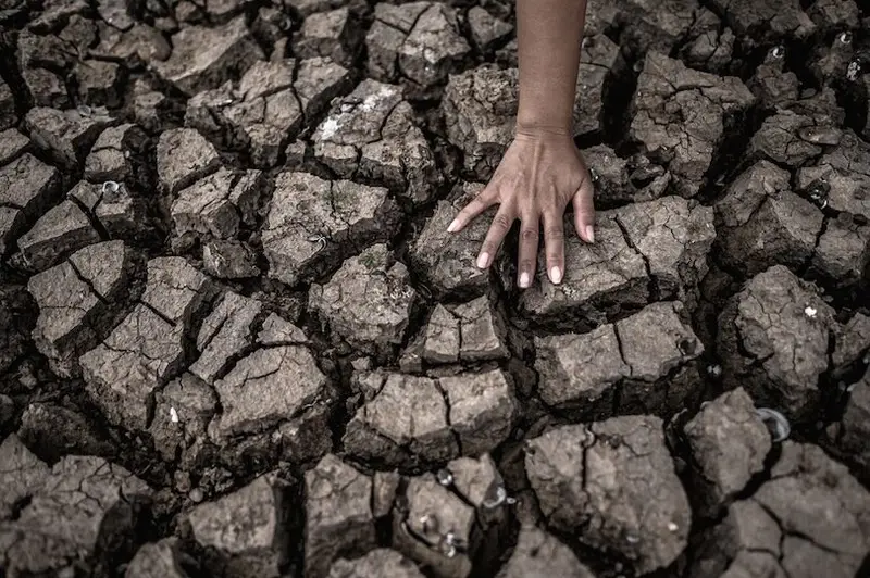 img of The Brutal Truth: Climate Vulnerability is Colonial Design, Not Geographical Destiny