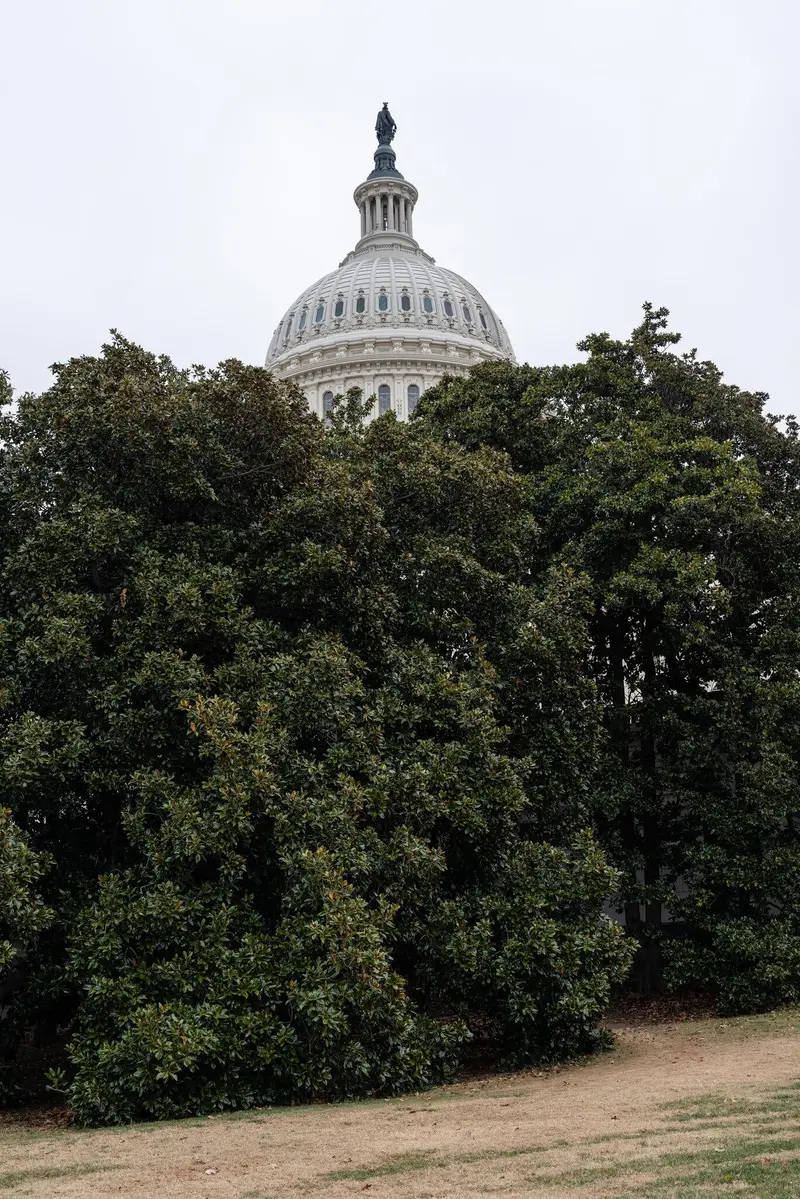 img of The Silent Surrender: How Congress Abandoned Its Constitutional Duty During Trump's Second Term