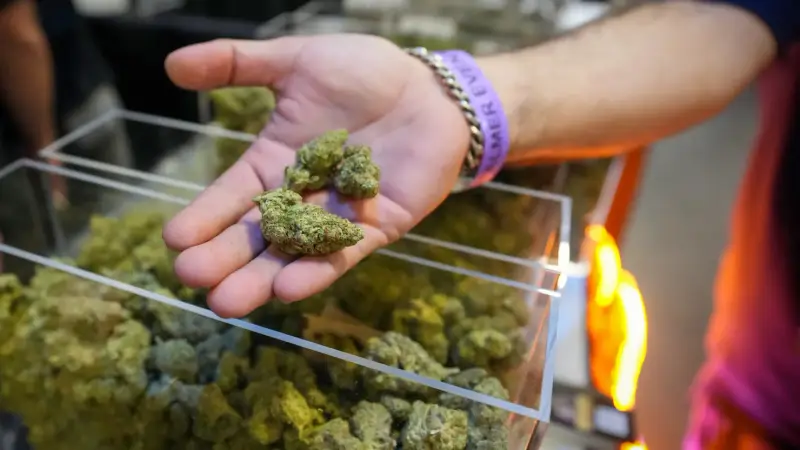 img of The Risky Gambit: Trump's Cannabis Reclassification and Medicare CBD Proposal
