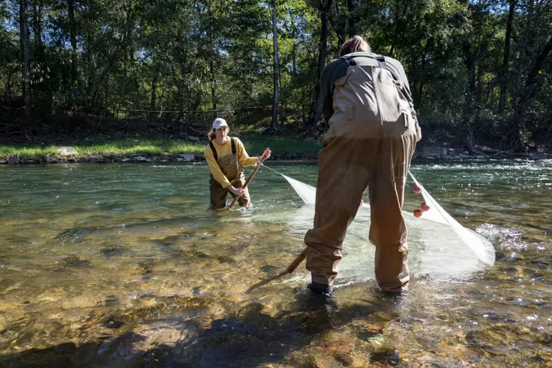 img of The Systematic Dismantling of America's Conservation Infrastructure: A Grave Threat to Our Natural Heritage