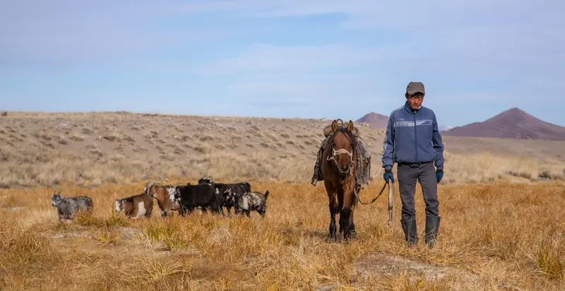 img of The Poisoned Desert: How French Uranium Colonialism Is Devastating Mongolia